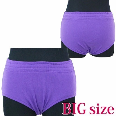 ブルマ単品 パープル BIG(コスチューム)